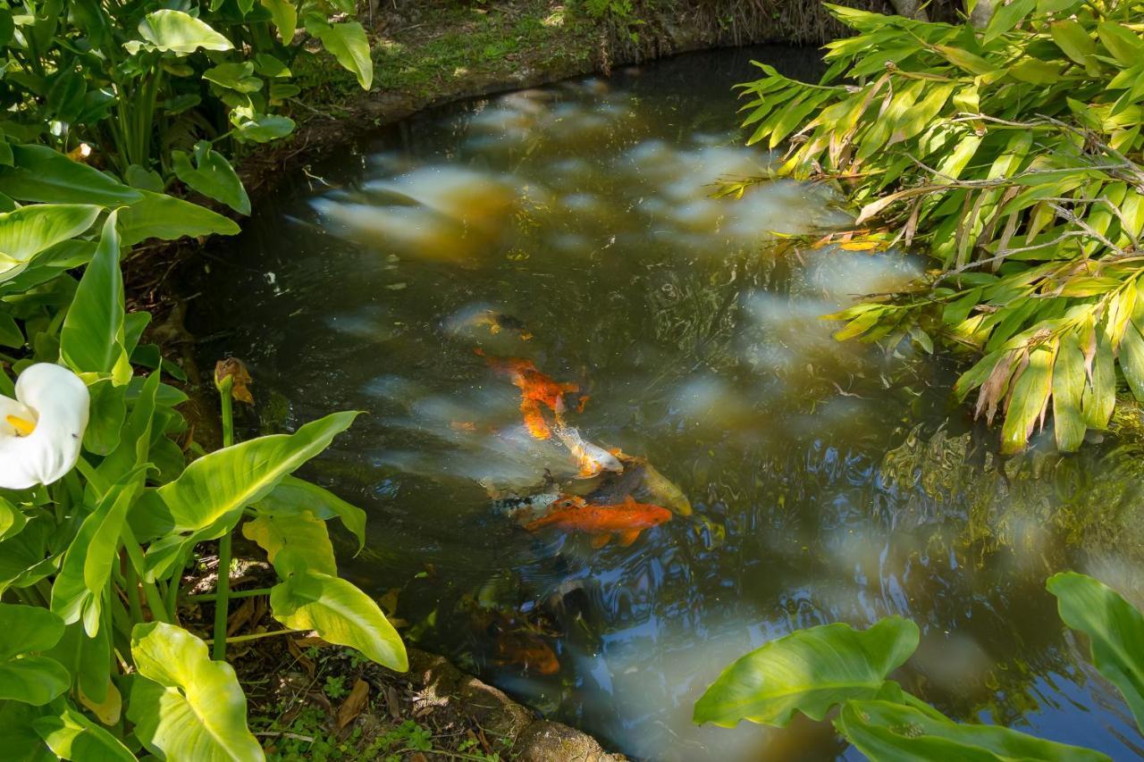 Pousada Passaredo Montanha Ibiuna Ngoại thất bức ảnh