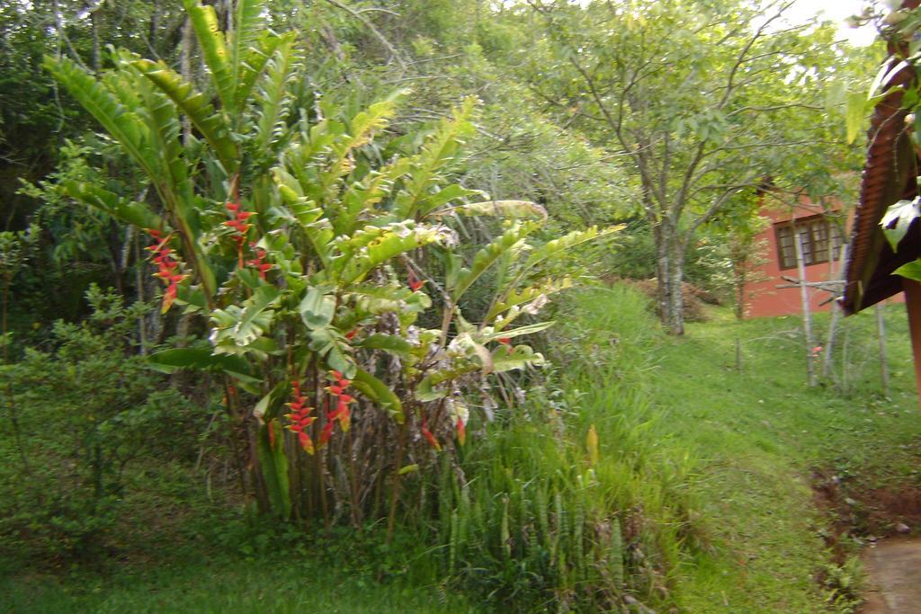 Pousada Passaredo Montanha Ibiuna Ngoại thất bức ảnh